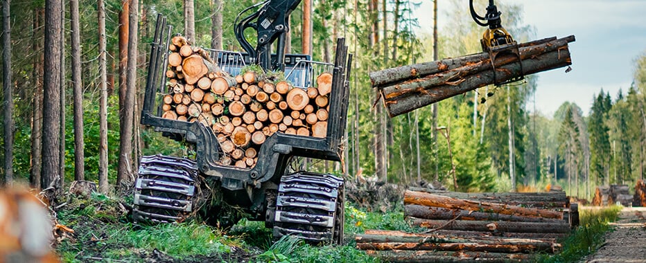 Log Loader