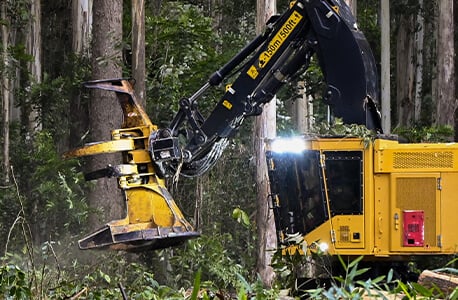 Feller Buncher