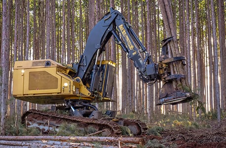 Crawler Feller Buncher